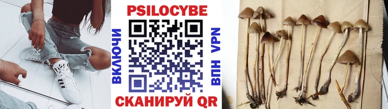 Галлюциногенные грибы прущие грибы  Купить закладки  Калач 